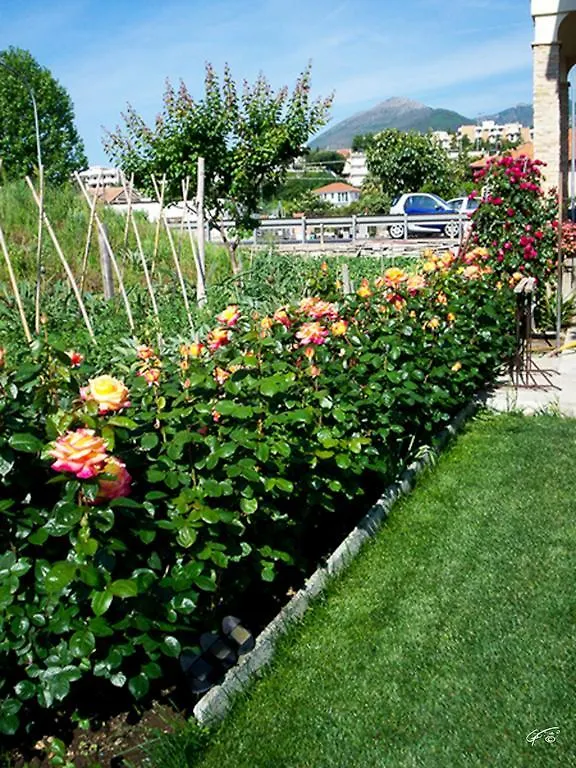 Guest House Arancia145 Ceriale
