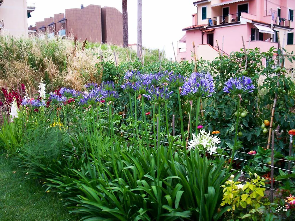 Guest House Arancia145 Ceriale Italy